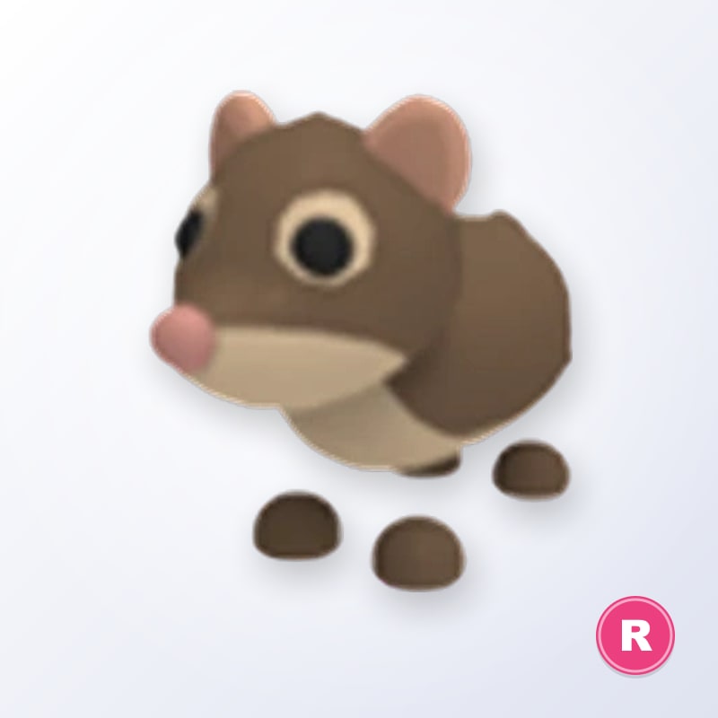 Shrew R | Adopt Me