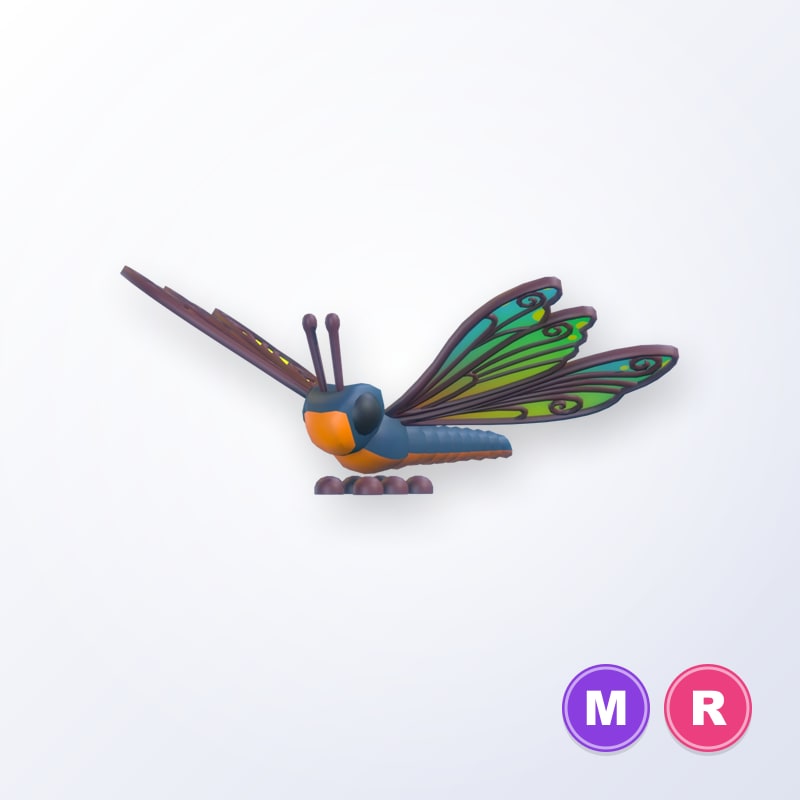 Clubtail Dragonfly MR | Adopt Me