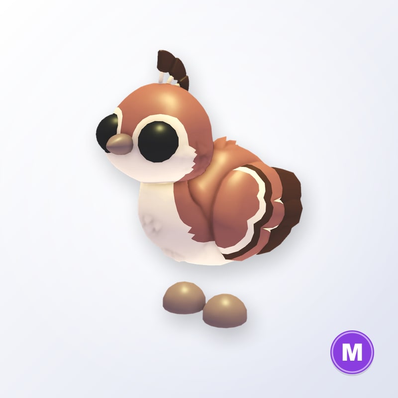 Peachick M | Adopt Me