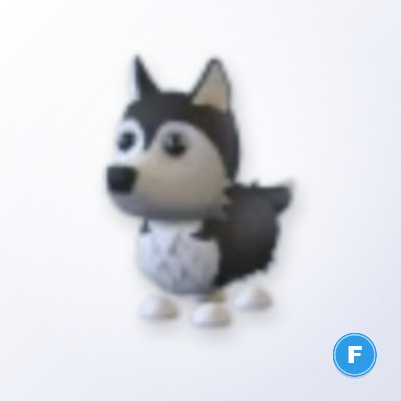 Husky F | Adopt Me