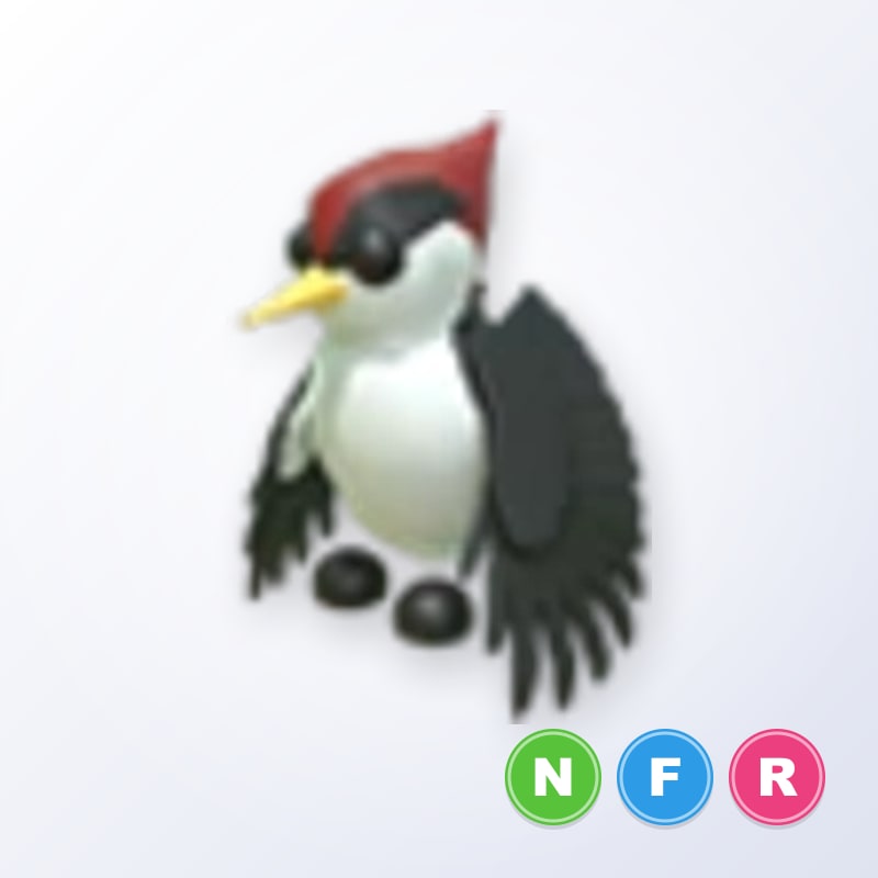 Woodpecker NFR | Adopt Me
