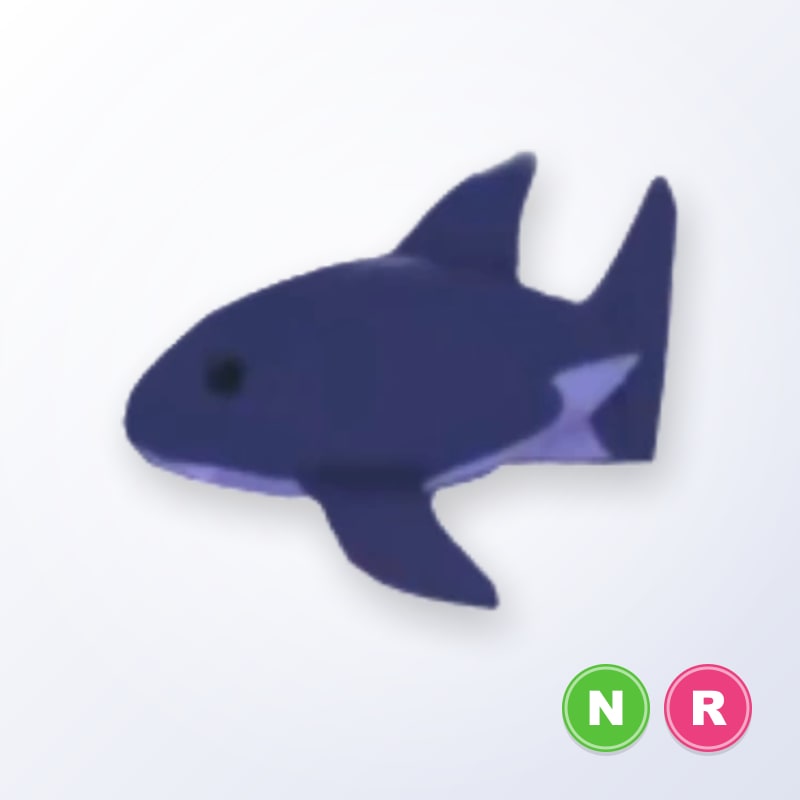Shark NR | Adopt Me
