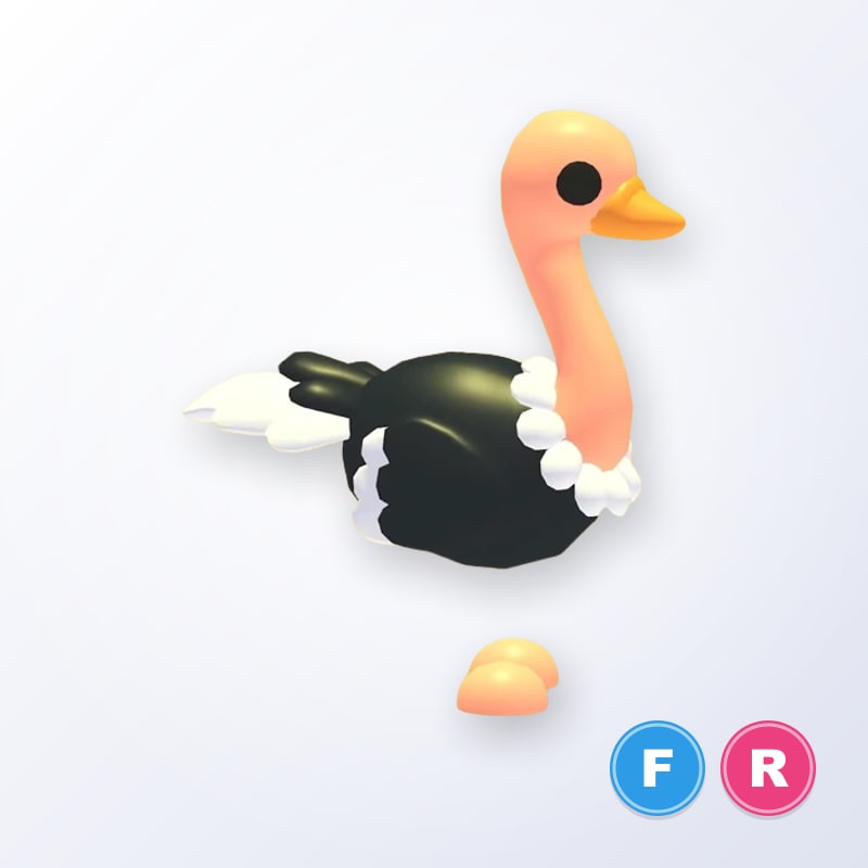 Ostrich FR | Adopt Me