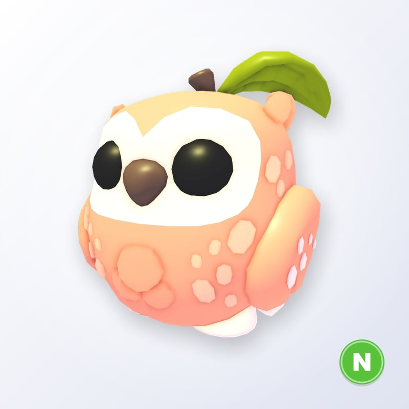 Peach Owl N | Adopt Me