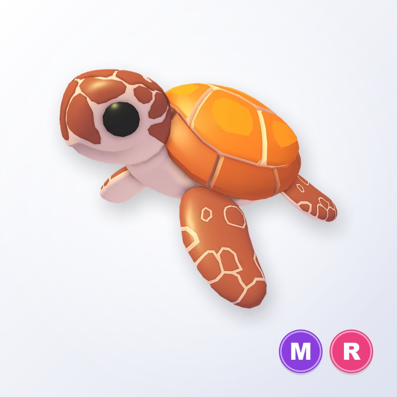Sea Turtle MR | Adopt Me