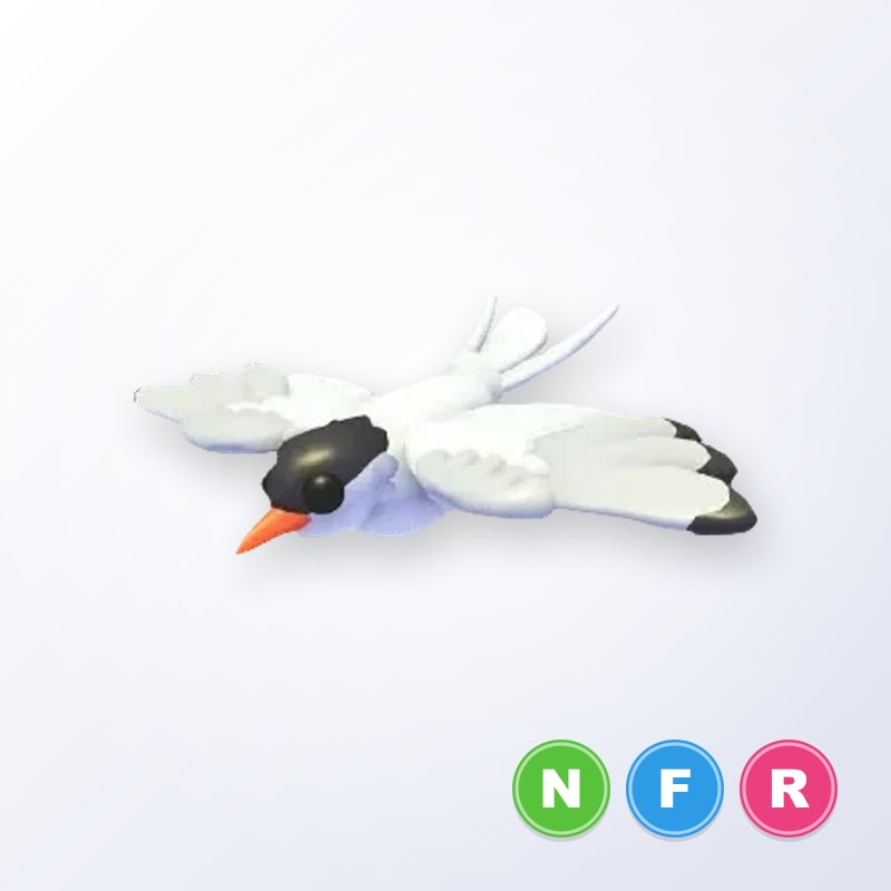 Arctic Tern NFR | Adopt Me