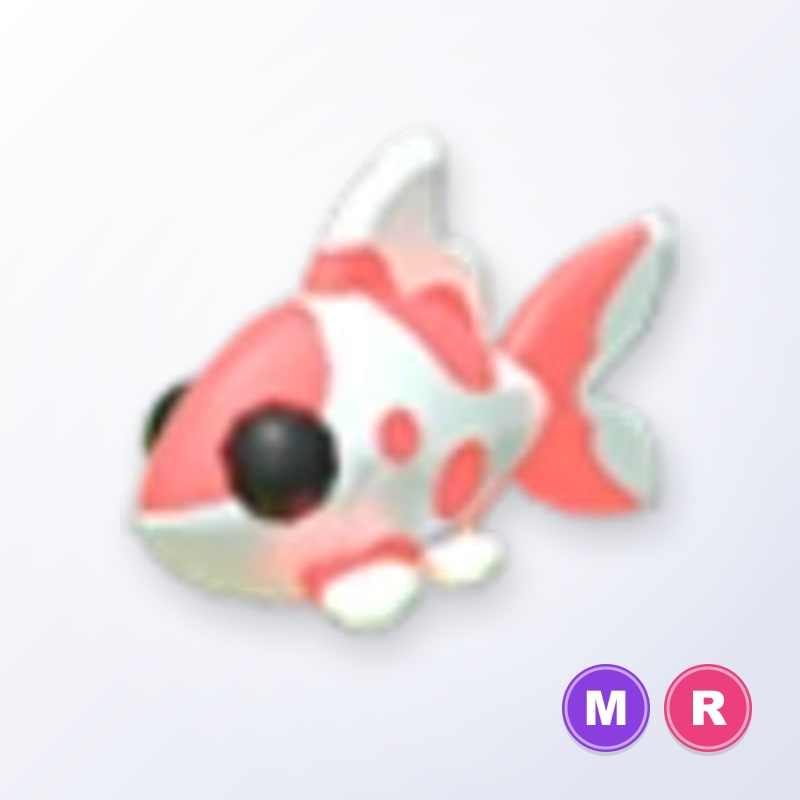 Koi Carp MR | Adopt Me