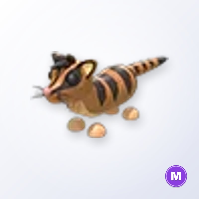 Banded Palm Civet M | Adopt Me
