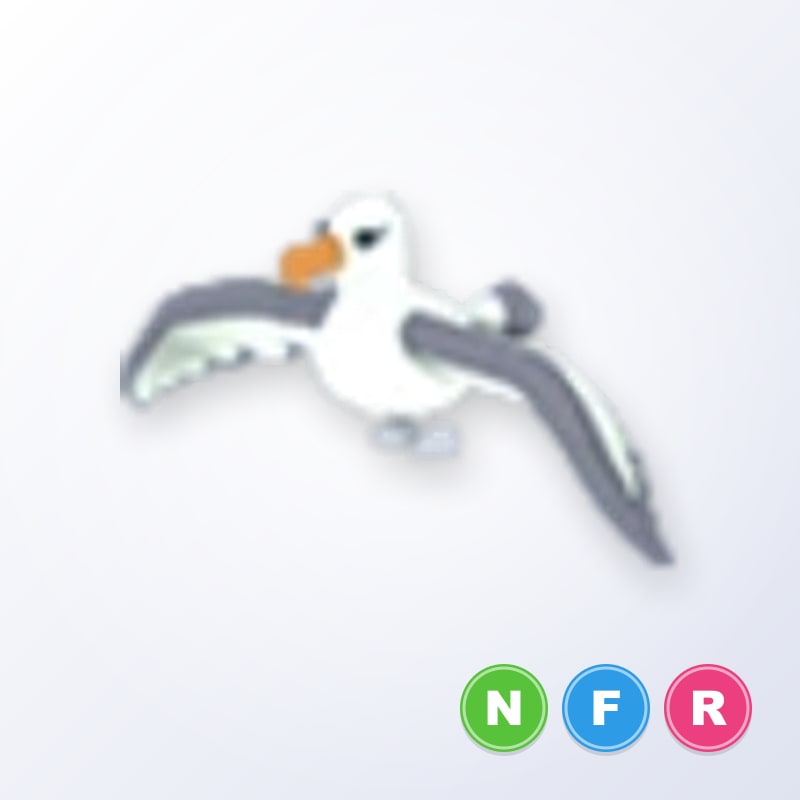 Albatross NFR | Adopt Me