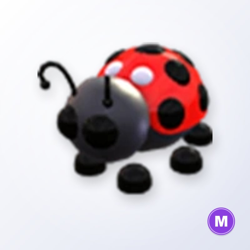 Ladybug M | Adopt Me