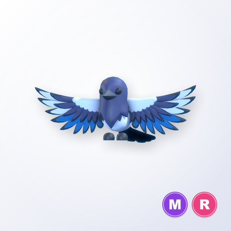 Magpie MR | Adopt Me