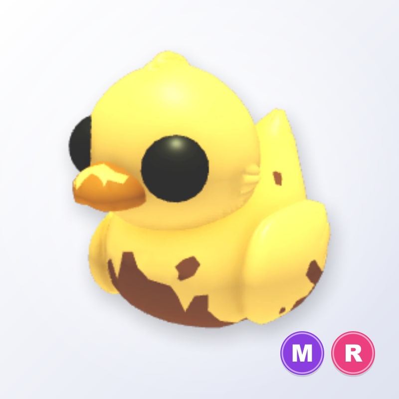 Dirty Ducky MR | Adopt Me