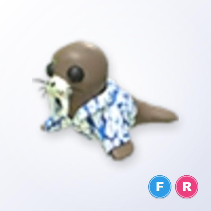 Summer Walrus FR | Adopt Me