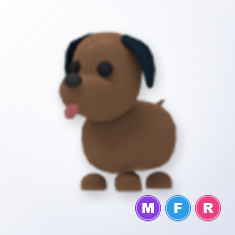 Chocolate Labrador MFR | Adopt Me
