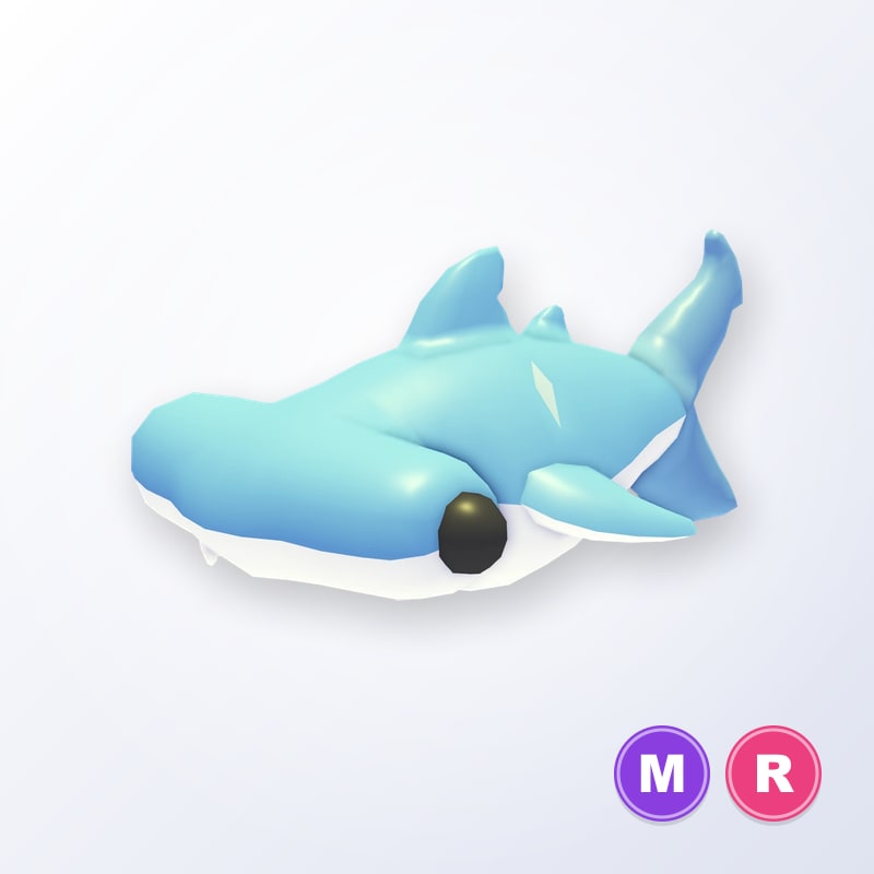 Hammerhead Shark MR | Adopt Me