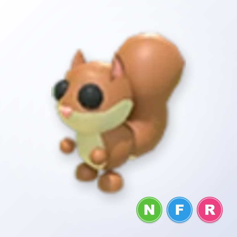 Red Squirrel NFR | Adopt Me