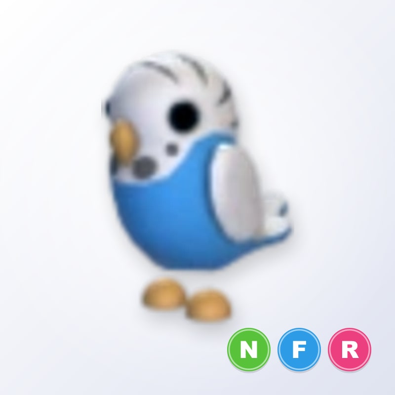 Parakeet NFR | Adopt Me