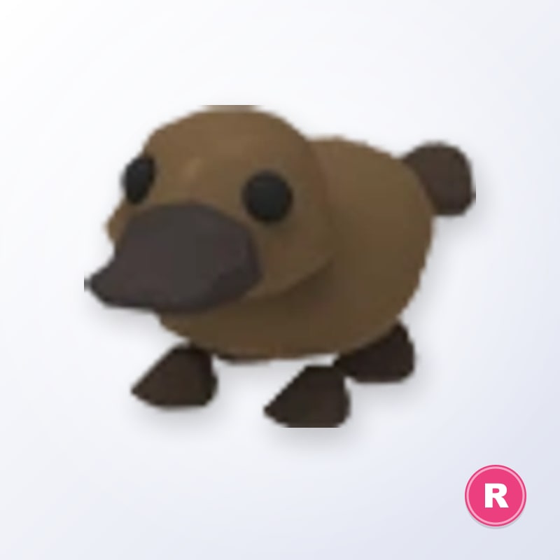 Platypus R | Adopt Me