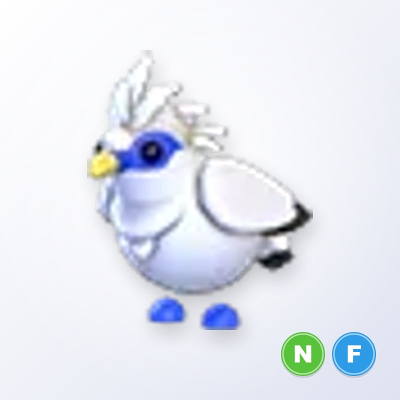 Bali Starling NF | Adopt Me