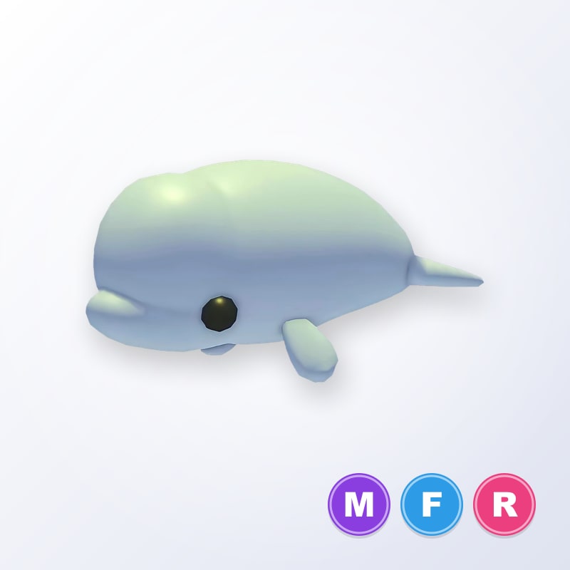 Beluga Whale MFR | Adopt Me