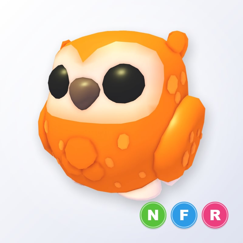 Clementine Owl NFR | Adopt Me
