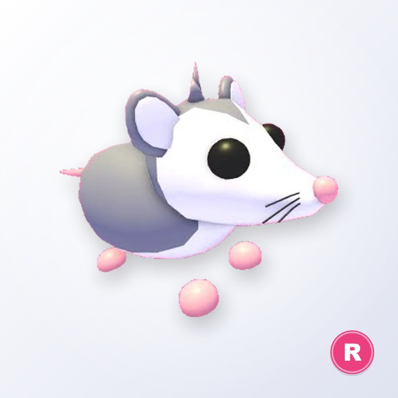 Possum R | Adopt Me