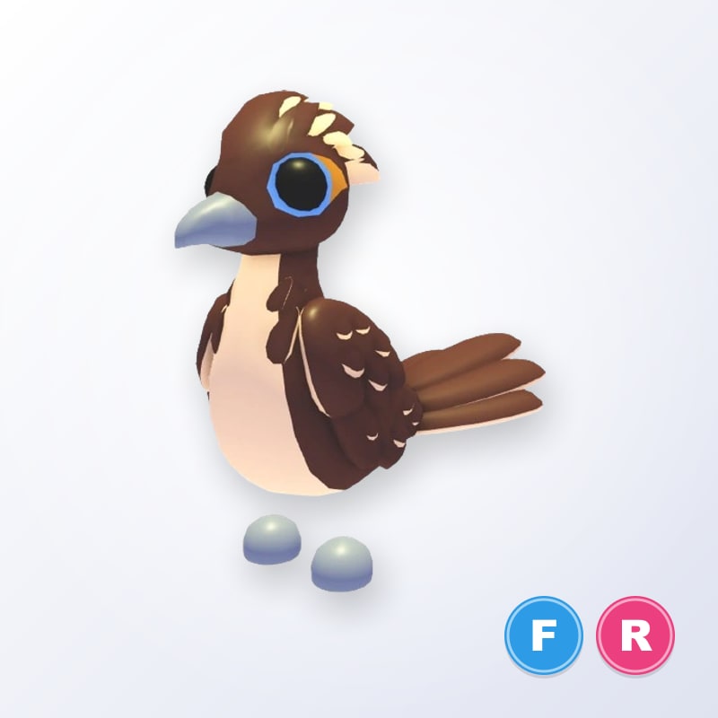 Roadrunner FR | Adopt Me