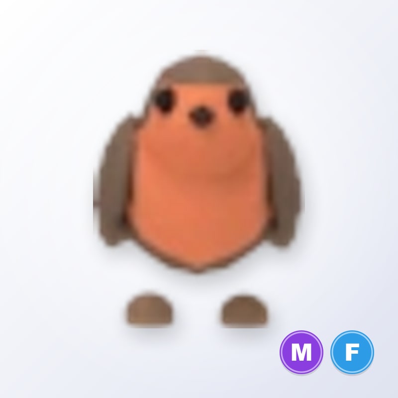 Robin MF | Adopt Me