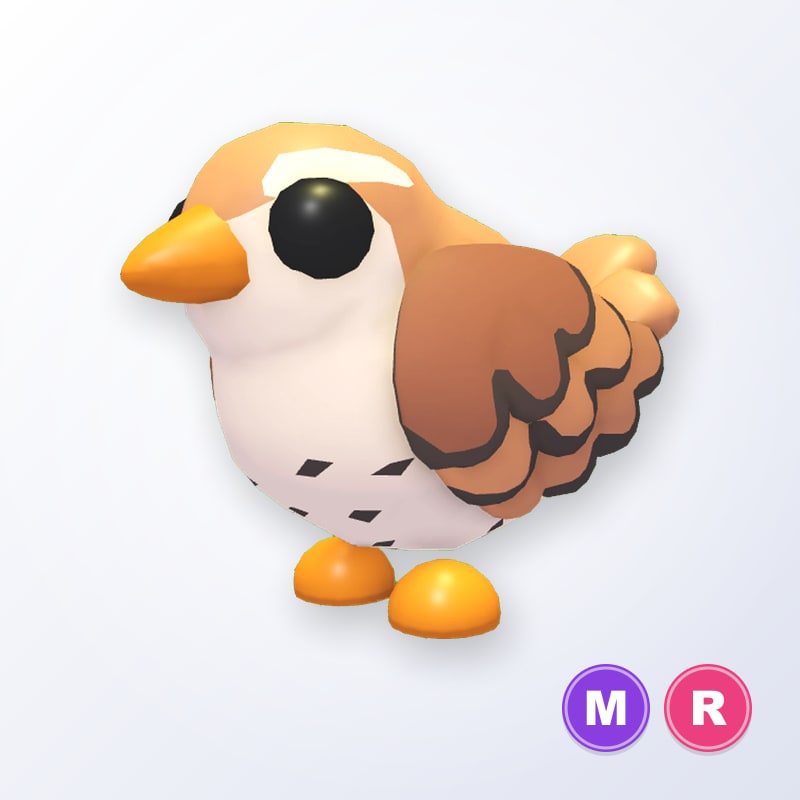 Wren MR | Adopt Me