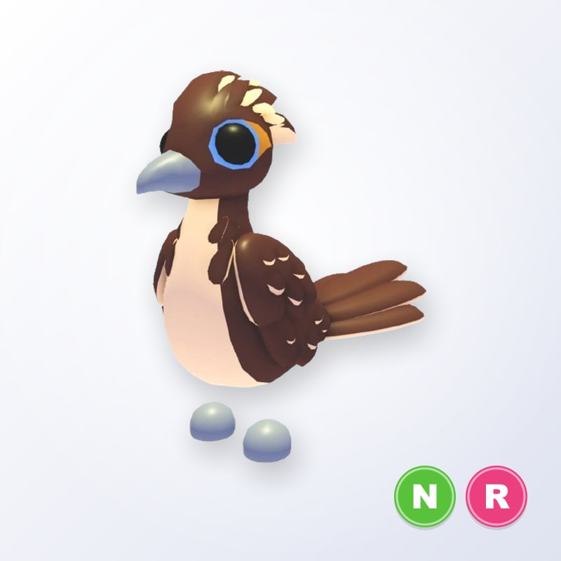 Roadrunner NR | Adopt Me