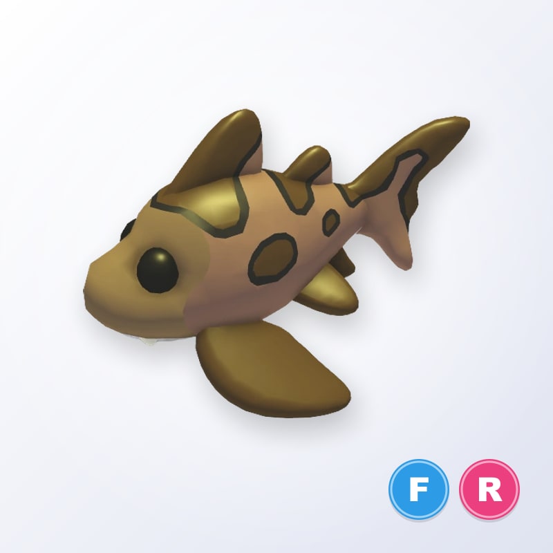 Leopard Shark FR | Adopt Me