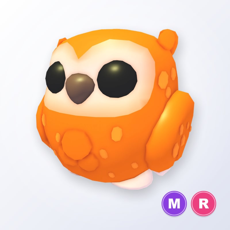 Clementine Owl MR | Adopt Me