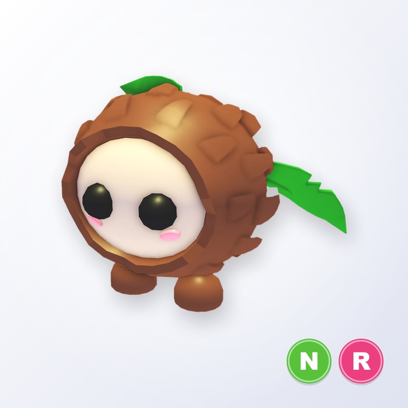 Coconut Friend NR | Adopt Me