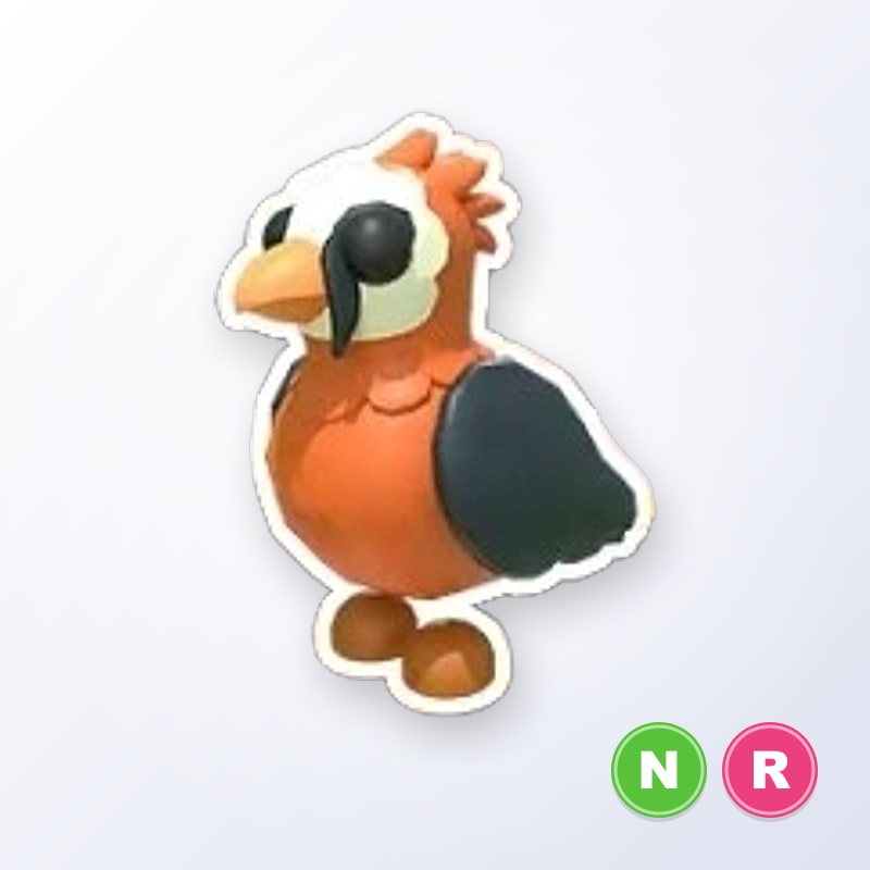 Lammergeier NR | Adopt Me
