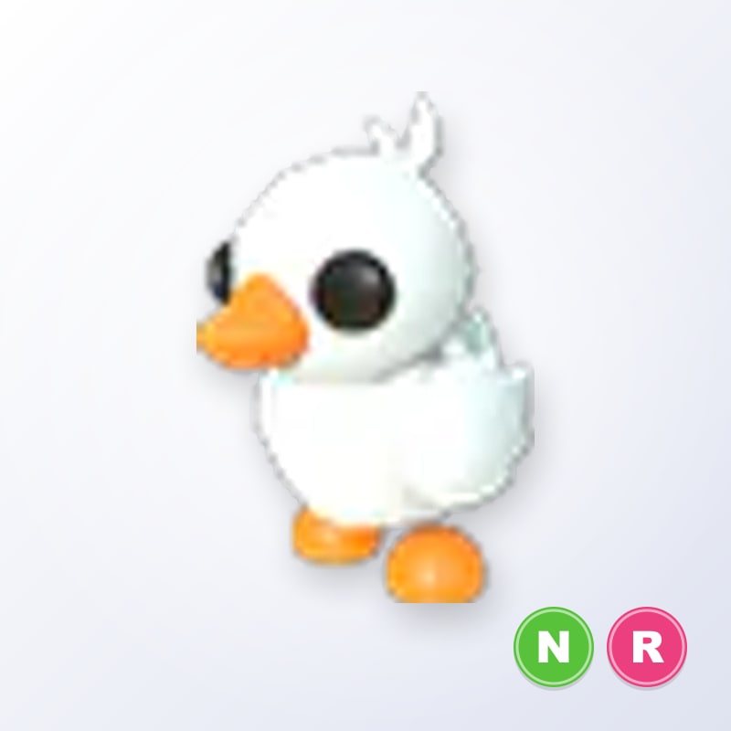 Happy Duckling NR | Adopt Me