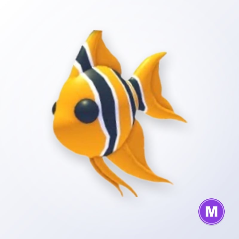 Angelfish M | Adopt Me