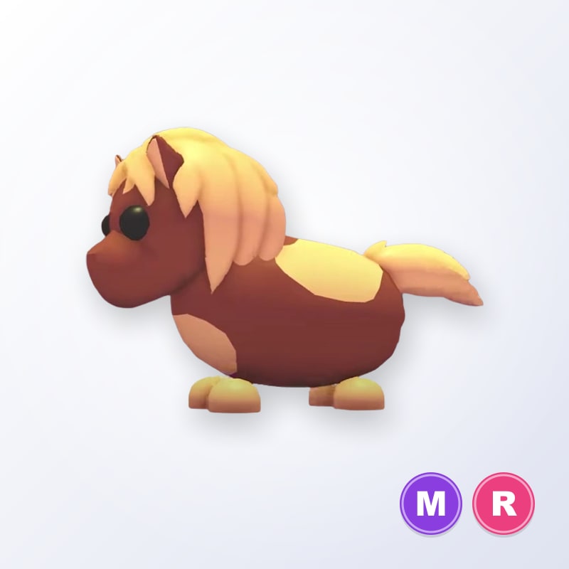 Shetland Pony Dark Brown MR | Adopt Me