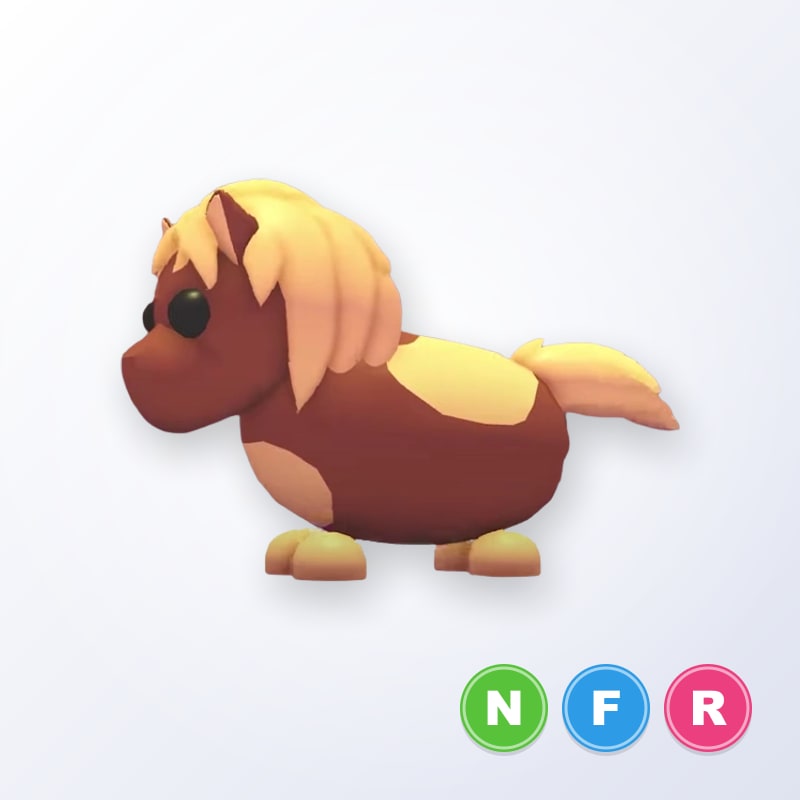 Shetland Pony Dark Brown NFR | Adopt Me