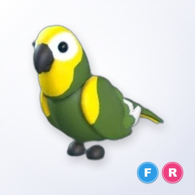 Green Amazon FR | Adopt Me
