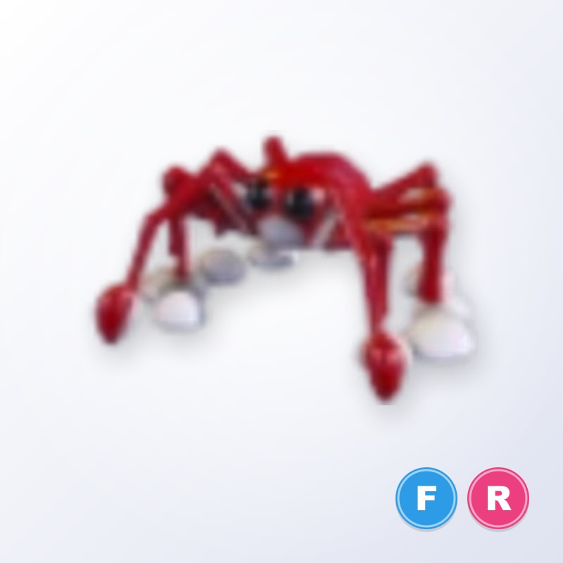 Spider Crab FR | Adopt Me