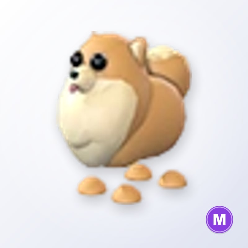 Pomeranian M | Adopt Me
