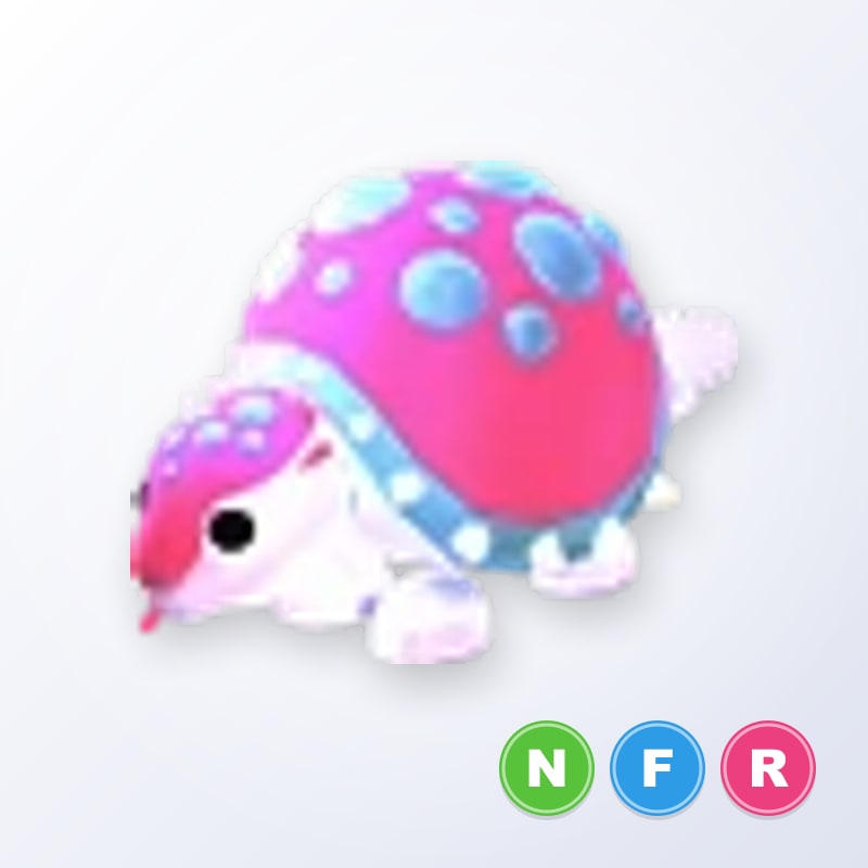 Glyptodon NFR | Adopt Me