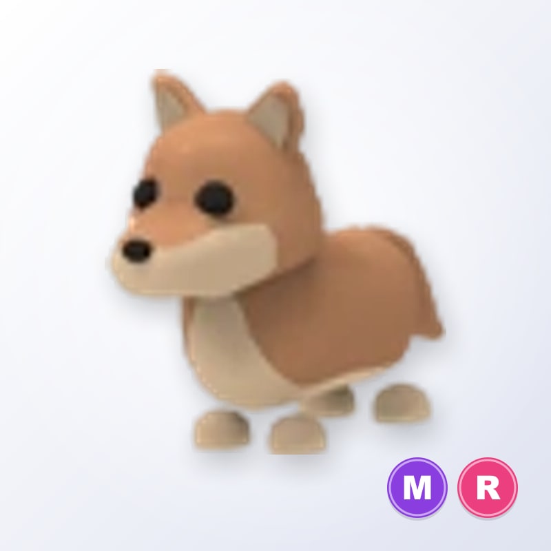 Dingo MR | Adopt Me