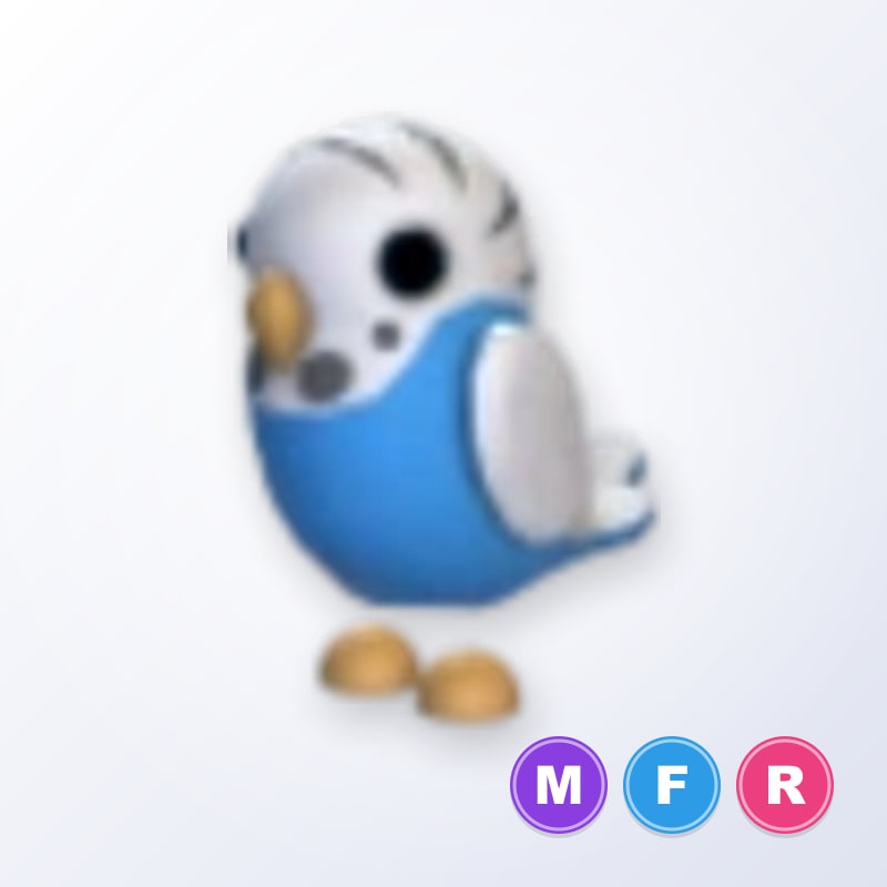 Parakeet MFR | Adopt Me