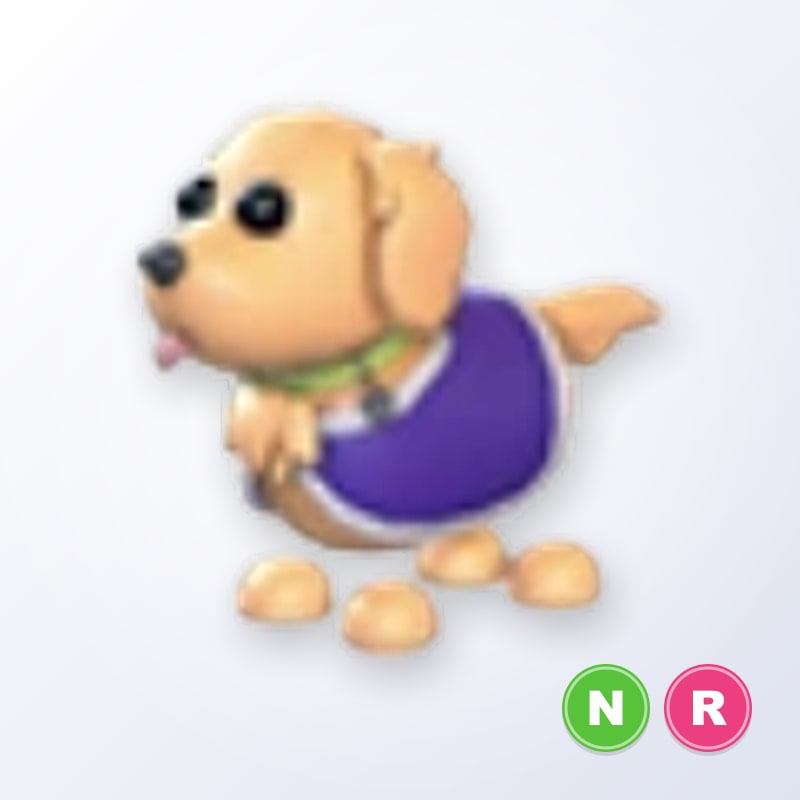 Therapy Dog NR | Adopt Me