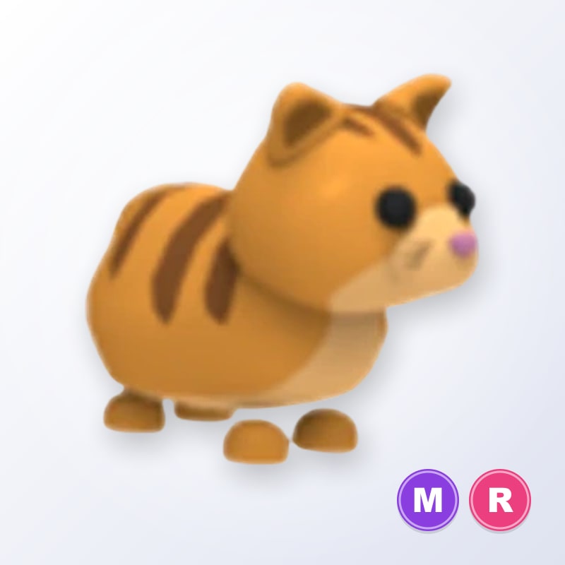 Ginger Cat MR | Adopt Me