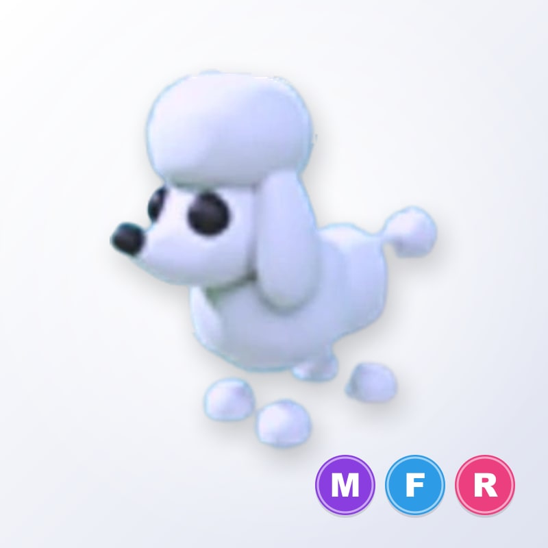 Poodle MFR | Adopt Me