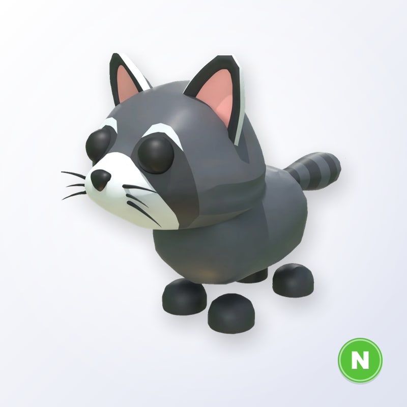 Raccoon N | Adopt Me