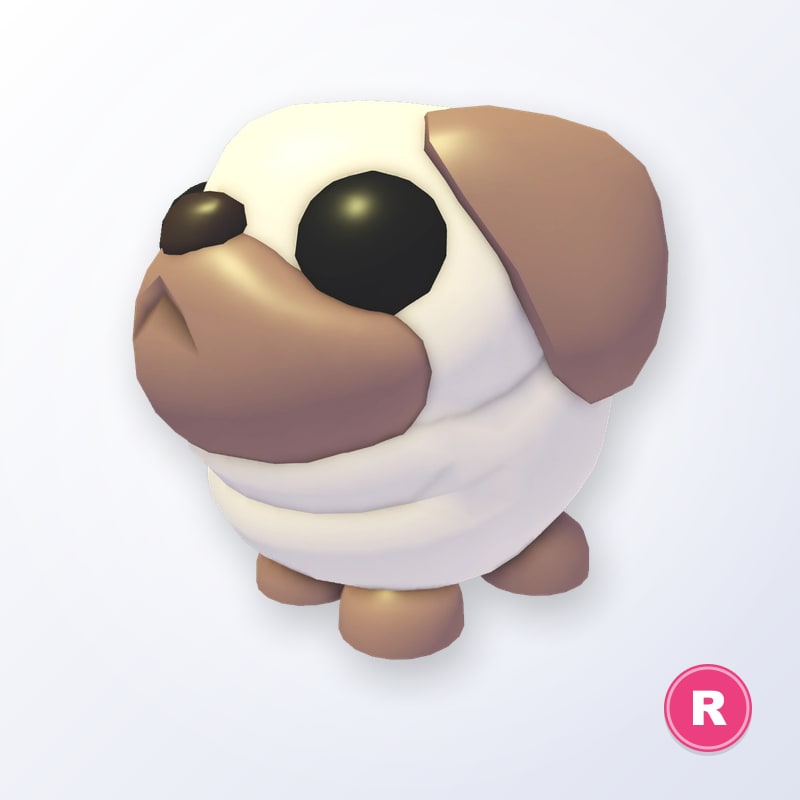 Snowball Pug R | Adopt Me