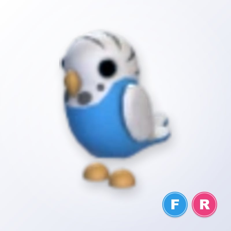 Parakeet FR | Adopt Me